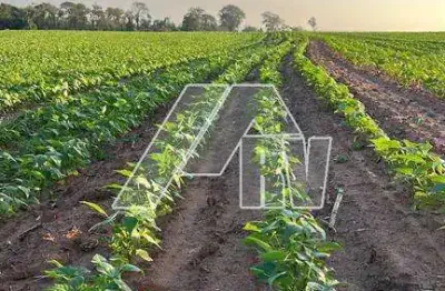 Fazenda à venda no Centro, Lupércio 