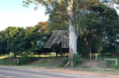 Chácara / sítio com 4 quartos à venda na rua maranhão, área rural de marília, marília por r$ 7.500.000