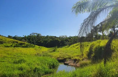 Fazenda à venda na Rua Antônio Lopes Campos Filho, Basílio, Rio Bonito