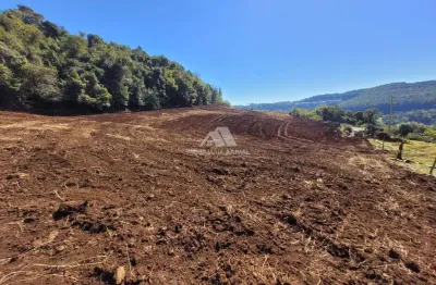 Chácara / sítio à venda na Área Rural de Chapecó, Chapecó 