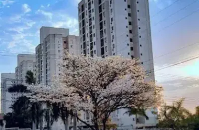 Apartamento no condomínio residencial bela vista, bairro rita vieira