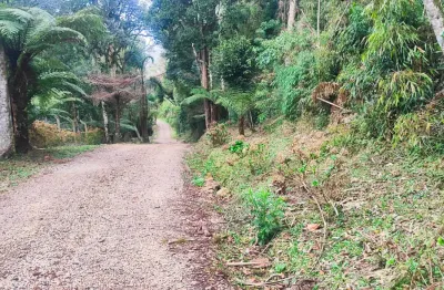 Chácara / sítio à venda na Rua Anna Didi Baptista Gabardo, 1945, Borda do Campo, São José dos Pinhais
