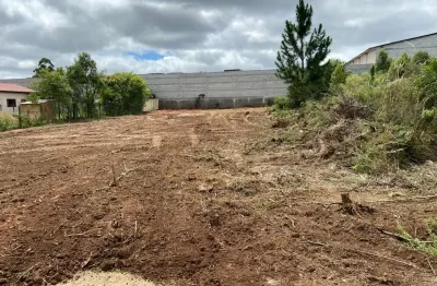 Terreno à venda na Rua Júlio César Setenareski, 1510, Colônia Murici, São José dos Pinhais