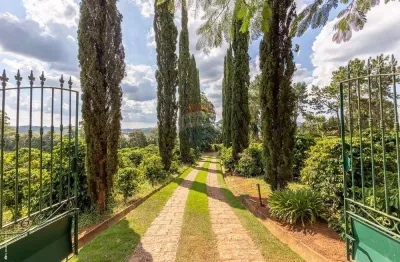 Sitio com 20.000 pés de café a venda - hirondelle, morungaba/sp