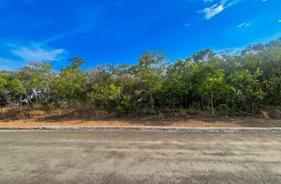 Terreno à venda na Avenida dos Flamboyants, SN, Parque Residencial Morumbi, Senador Canedo