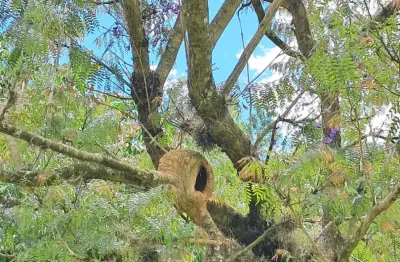 Terreno 606m² c/ Vista Panorâmica e Definitiva p/ Reserva APP no Cond. Reserva Bom Viver (Campo Limpo Pta)
