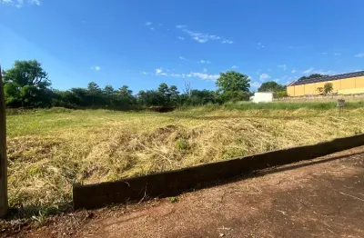 Terreno comercial à venda na Avenida Professor Mário Autuori, City Ribeirão, Ribeirão Preto
