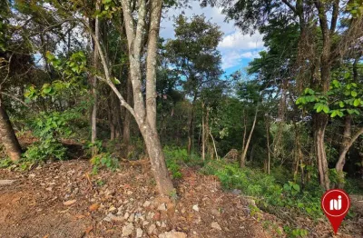 Terreno à venda, 12935 m² por r$ 920.000 - mirante da mata - nova lima/mg