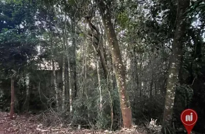Terreno à venda, 2240 m² por r$ 350.000,00 - condomínio passárgada - nova lima/mg