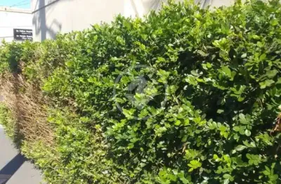 Casa com 3 quartos à venda na Avenida Cussy de Almeida Júnior, 2914, São João, Araçatuba