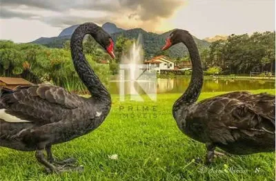 Terreno em condomínio fechado à venda na rua doutor augusto ricardo teixeira castilho, vargem grande, teresópolis, 240 m2 por r$ 165.000