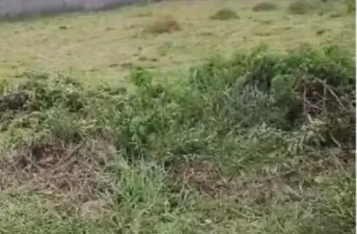 Terreno plano de 20 x 50 m, 1000 m², escriturado, em condomínio de chácaras. Km 133 da Raposo.  Village Paraíso.