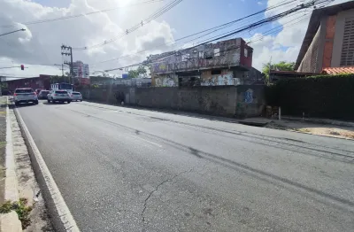 Terreno para alugar na Avenida Ayrton Senna da Silva, s/n, Piedade, Jaboatão dos Guararapes