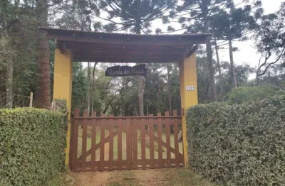 Chácara / sítio com 3 quartos à venda na Rua Isídio Alves Ribeiro, 1201, Planta Meireles, Piraquara