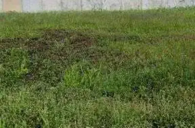 Vivendas da mata - ótimo terreno plano no vivendas da mata