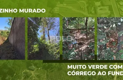 Chácara à venda, 5587 m² - independência das mansões - aparecida de goiânia/go