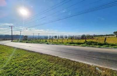 Terreno à venda, 19418 m² por r$ 15.000.000,00 - jardim novo mundo - goiânia/go