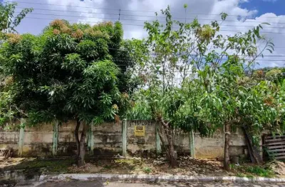 Terreno à venda, 600 m² por r$ 250.000,00 - vila monticelli - goiânia/go