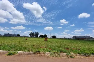 Terreno à venda na Valde Abadia Da Silva, Setor Solange, Trindade
