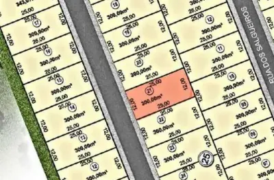 Terreno à venda na Das Quaresmeiras, Jardins Bolonha, Senador Canedo