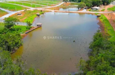 Terreno à venda na Go-010, Leopoldo De Bulhões - Go, 74000-000, Brasil, Zona Rural, Leopoldo de Bulhões