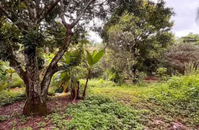 Chácara / sítio com 2 quartos à venda na Rua JC 1, Residencial Jardim Canedo II, Senador Canedo