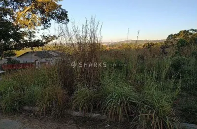 Terreno à venda na Rua dos Jasmins, Parque Residencial Morumbi, Senador Canedo