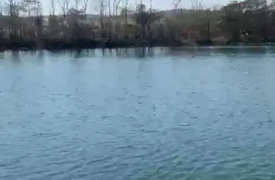 Chácara / sítio com 2 quartos à venda na Bernardo Sayão, Setor Central, Campo Alegre de Goiás