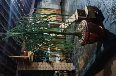 Casa 3 dormitórios m rio preto venda duas vendas  são jose do rio preto/sp