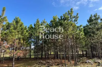 Terreno à venda no Tramandaí Sul, Tramandaí 