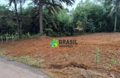 Terreno à venda, 2000 m² por r$ 260.000,00 - morada dos pássaros - poços de caldas/mg