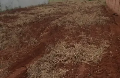 Terreno à venda na Rua Elias Miguel Basmage, Sn, Paraíso do Lageado, Campo Grande