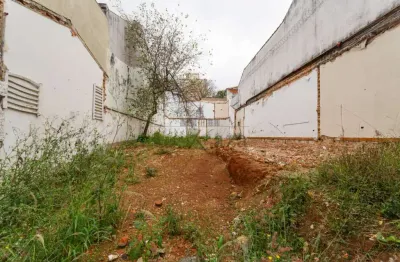 Terreno comercial para alugar na Avenida Lins de Vasconcelos, 5128805, Cambuci, São Paulo