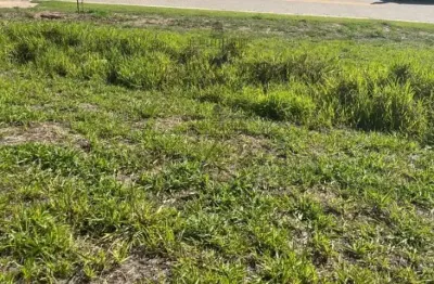 Terreno Aclive em Condomínio - Condomínio Terras Alpha - Urbanova - 330m².