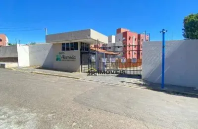Apartamento para aluguel no condomínio alameda dirceu