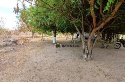 Terreno comercial à venda na Rua Professora Amália Pinheiro, 333, Morros, Teresina