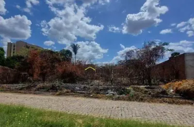 Terreno comercial à venda na Rua Professora Amália Pinheiro, Morros, Teresina
