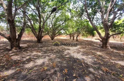 Terreno comercial à venda na Avenida Professor Camilo Filho, 9780, Jardim Europa, Teresina
