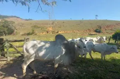 Sítio à venda no trevo macaé x glicério – oportunidade única!