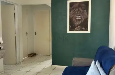 Apartamento 2 dormitórios à venda parque campo bonito indaiatuba/sp