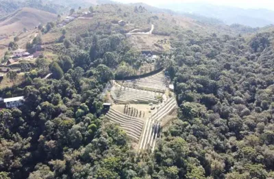 Linda vinícola em campos do jordão - linda vinícola a venda em campos do jordão