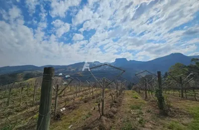Fazenda e vinícola dos sonhos - fazenda e vinícola dos sonhos natureza e charme em harmonia