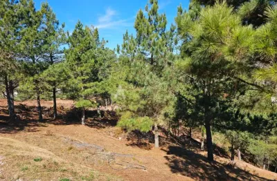 Terreno em loteamento fechado - terreno em loteamento fechado – campos do jordão