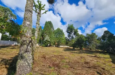 Reserva figueiredo - terreno exclusivo no condomínio reserva figueiredo em campos do jordão com projeto aprovado!