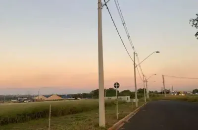 Terreno à venda no Avelino Alves Palma, Ribeirão Preto 