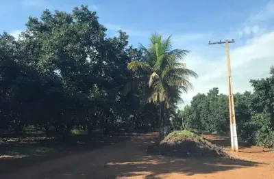 Terreno à venda no Centro, Ribeirão Preto 