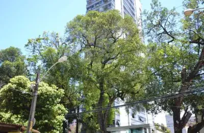 Apartamento 3 quartos, 1 vaga, 130m2 bairro paissandu - ilha leite  -  recife