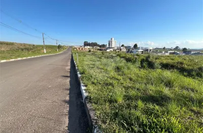 Terreno comercial à venda no Tributo, Lages 
