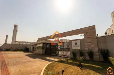 Apartamento para locação, no cond. norte park, com 3 dormitórios, 59,60m²  por r$1.250,00/mês - vivi xavier - londrina- pr