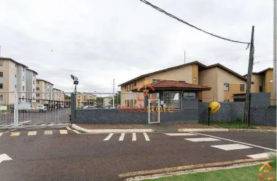 Apartamento com 2 dormitórios à venda, 55 m²  - nova olinda - londrina/pr